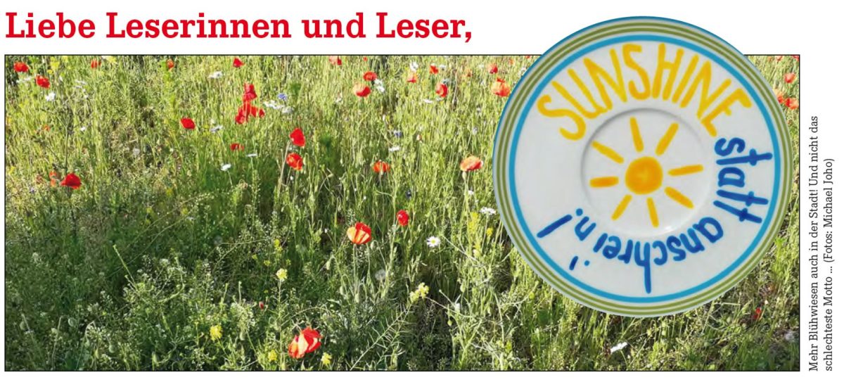 Nehmt dies: Neuer Bürger*innen-Brief über Hamburg, Politik und Parlament